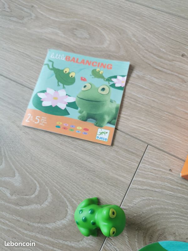 Jeu Djeco Little Balancing complet TBE (image 2)