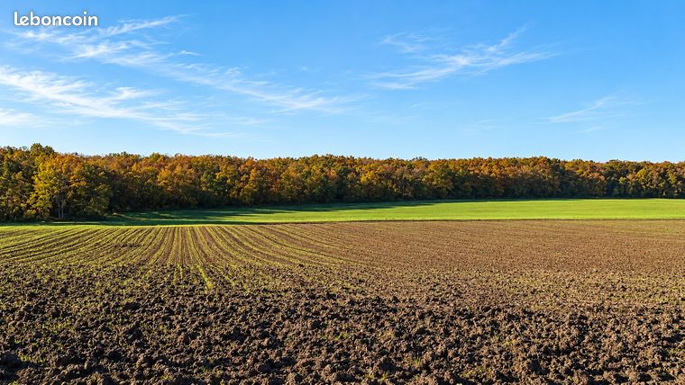 Terrain 800000 m² JEU LES BOIS