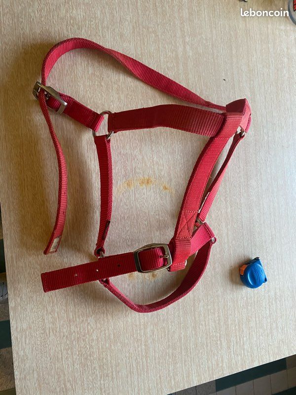 Licol cheval taille 3 (image 3)