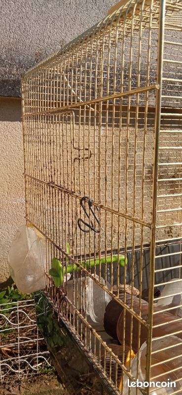 Cage (image 1)