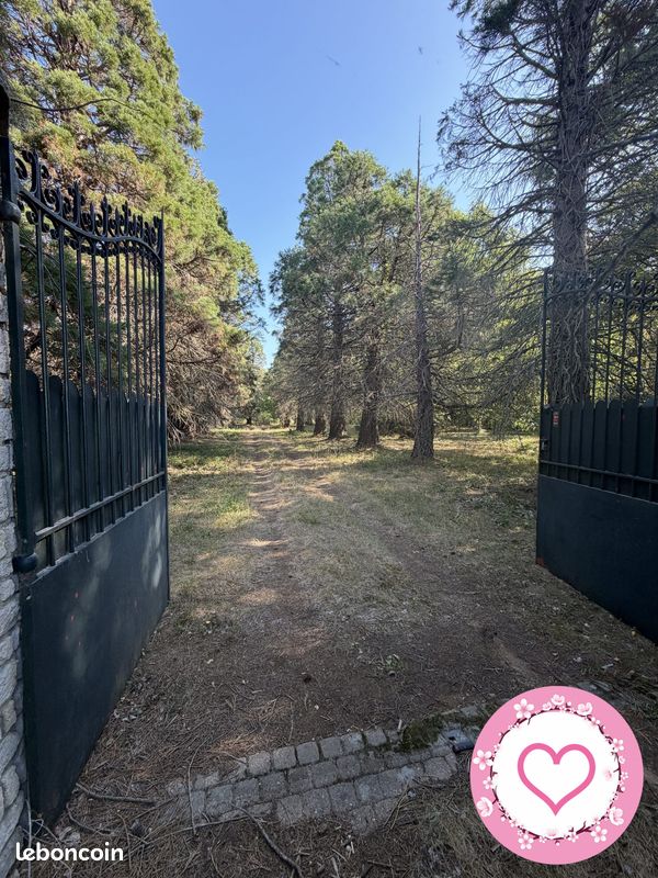 Maison 6 pièces 249 m² · à Guilly · 249 m² · 388 500 €