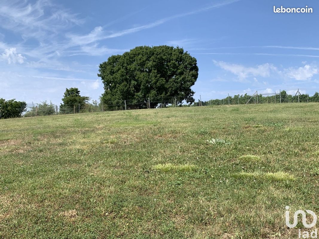 Propriété 13 pièces 280 m² - Bourg-Charente 16200 (image principale 9)
