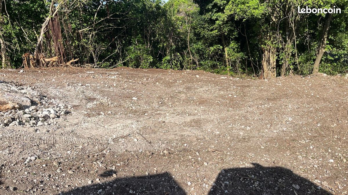 Terrain à vendre le moule · 260 000 €