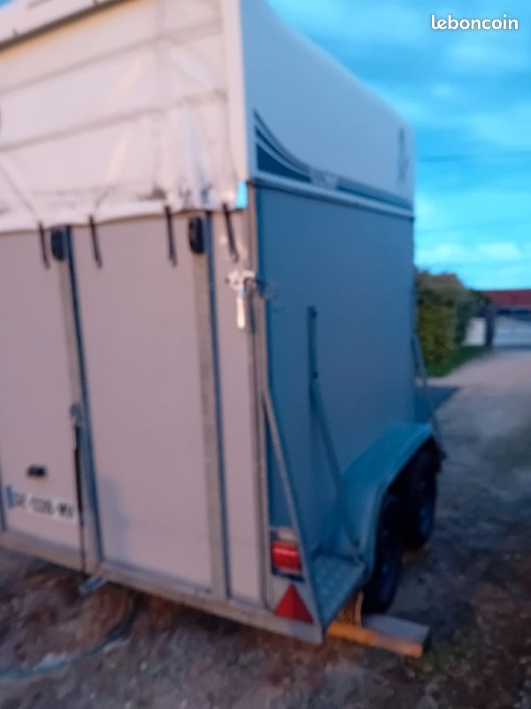 Transport Van Chevaux A Vendre Transport Van Chevaux Thiel Van