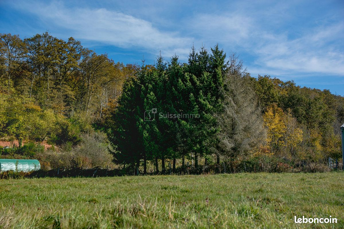 Terrain 1180 m² · à Champagney · 1 180 m² · 46 000 €