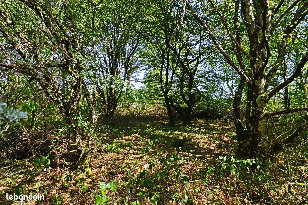Terrain 1 500 m² Tracy Sur Loire (image 9)