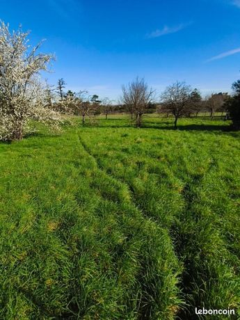 Terrain 950 m² Houlette
