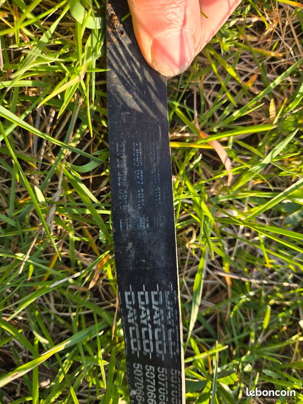 Courroie accessoires Renault Trafic 2 (image 3)