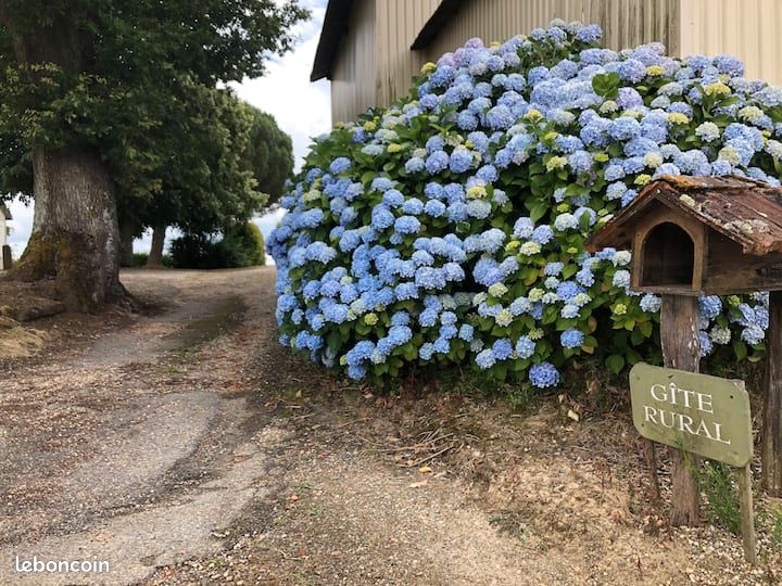Gîte rural 2 personnes Montpouillan (proche Marmande) (image 6)