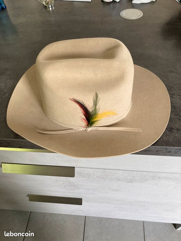 Chapeau Stetson (image 2)