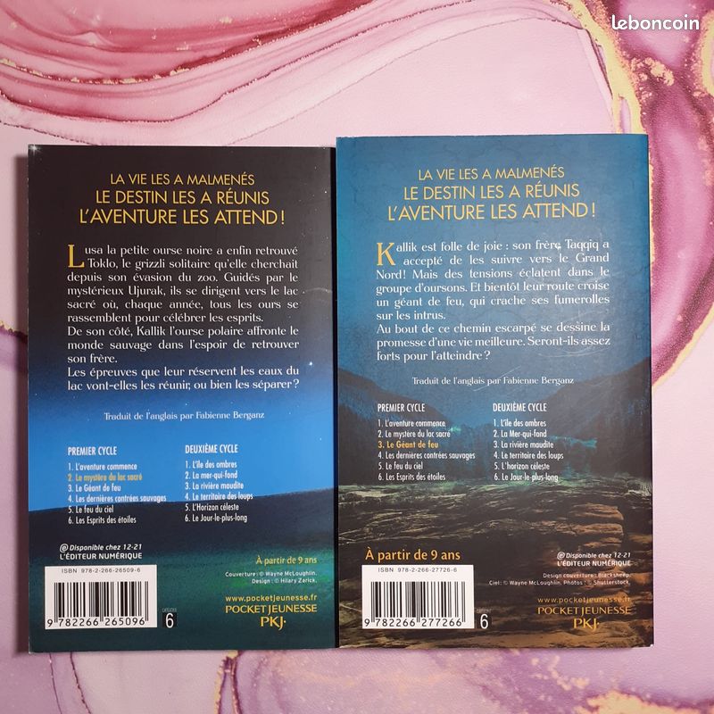 La quête des ours - livre 2 et 3 (image 2)