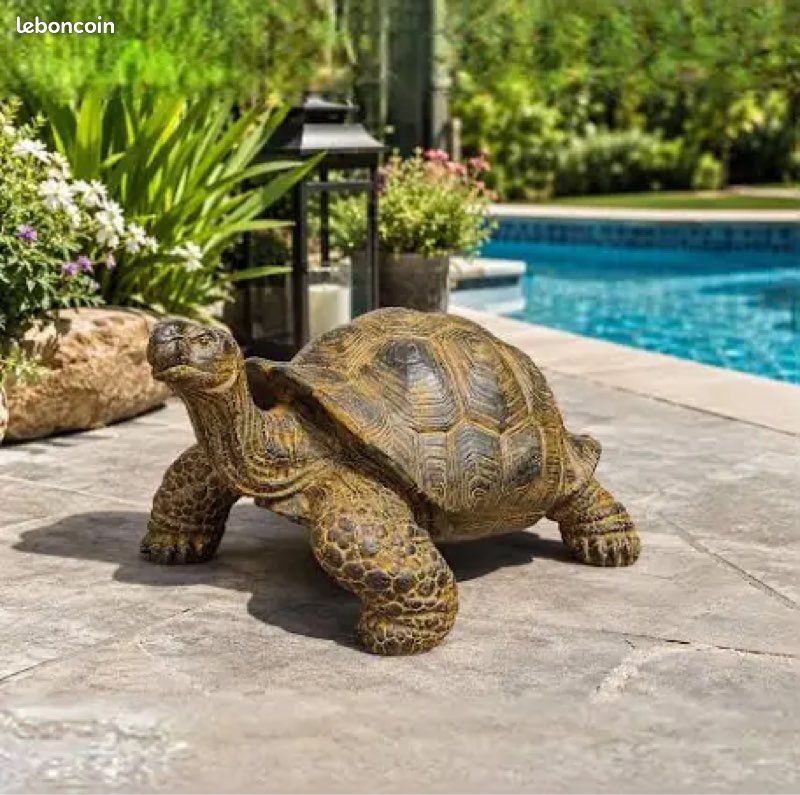 Tortue (image 1)