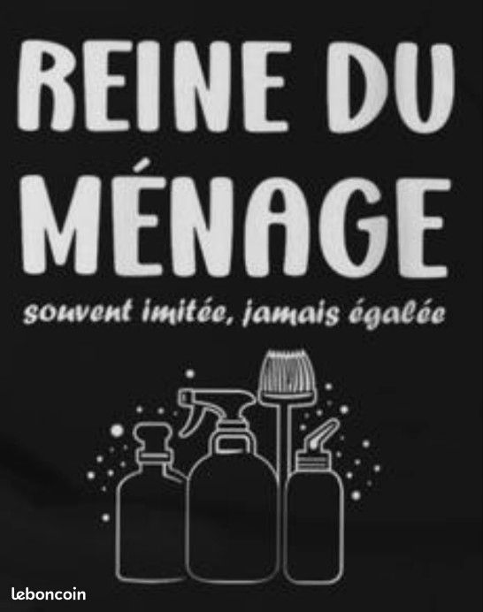 Aide ménagère à domicile (image 1)