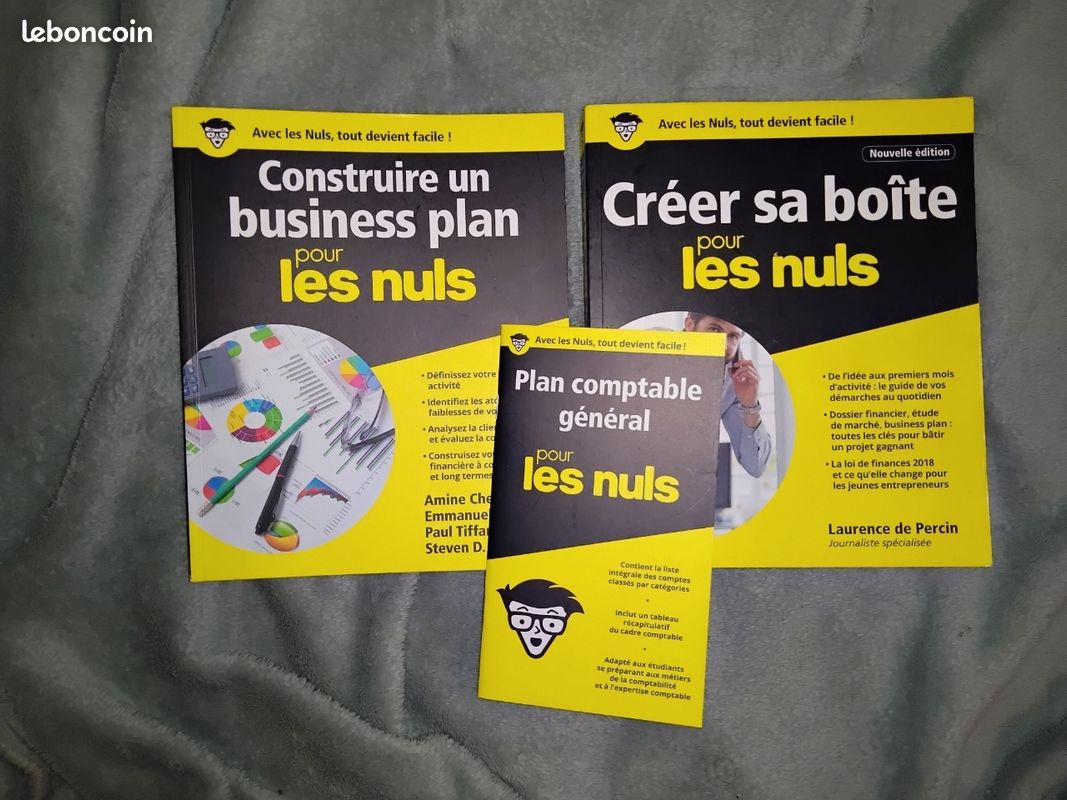 Coffret de trois livres créer sa boîte pour les nuls tout en un (image 3)