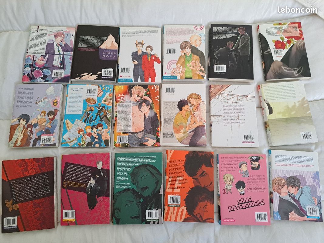 Mangas yaoi, 3 euros le tome (image 6)