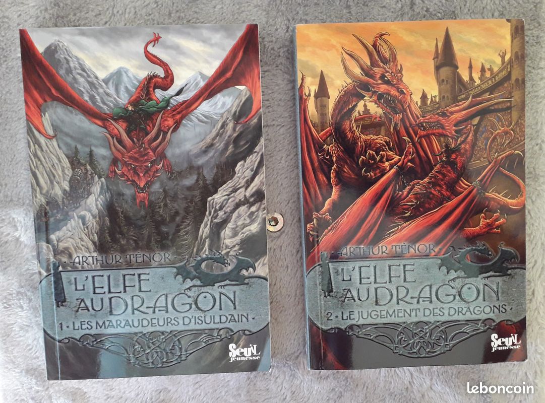 Livres Jeunesse_L’Elfe au Dragon_Vol. 1 &2_Les Maraudeurs d’Isuldain_Le Jugement des Dragons (image 1)