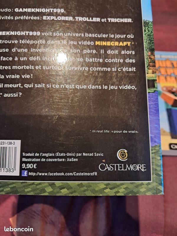 2 livres Minecraft (image 6)