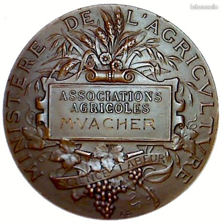 Médaille Ministère De L'Agriculture – École Vétérinaire De Lyon – Bronze Ancien