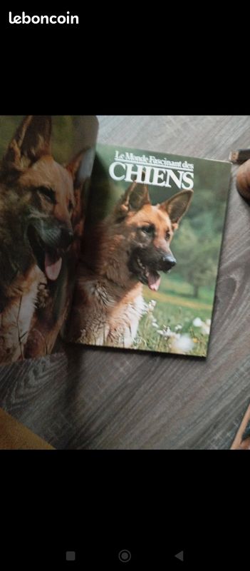 Le monde fascinant des chiens (image 4)