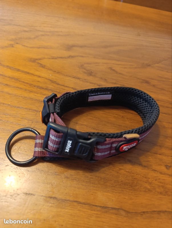 Accessoires chien collier (image 3)