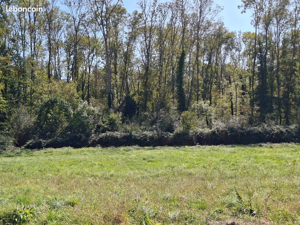 Terrain 550 m² Issenheim · 134 995 €