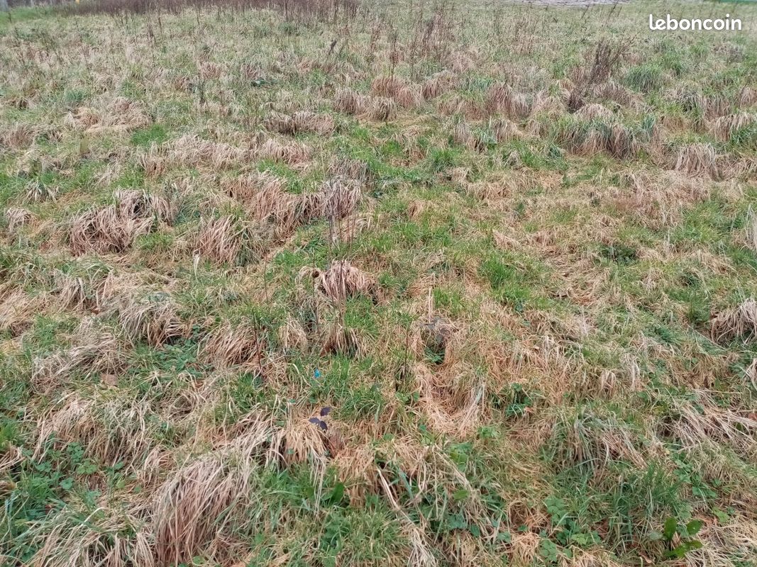 Terrain 704 m² Normanville · 63 000 €