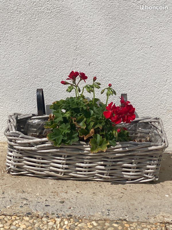 Lot De 2 Jardinières Balcon Rotin Naturel 60x20cm - Panier Plantes Osier Avec Support Balustrade