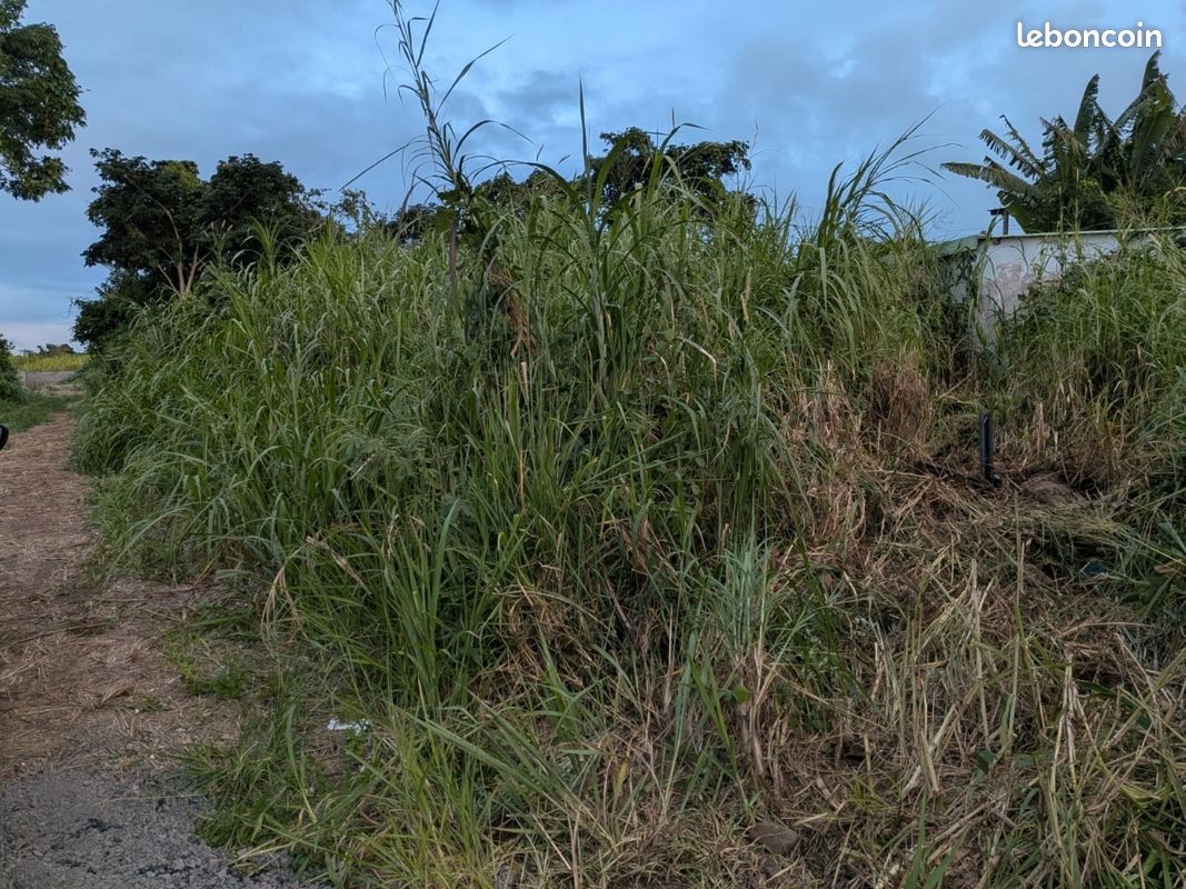 Terrain constructible · à Saint-André · 270 000 €