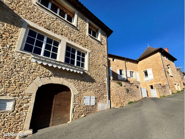 Maison 10 pièces 330 m² · à Pierreclos · 330 m² · 470 000 €