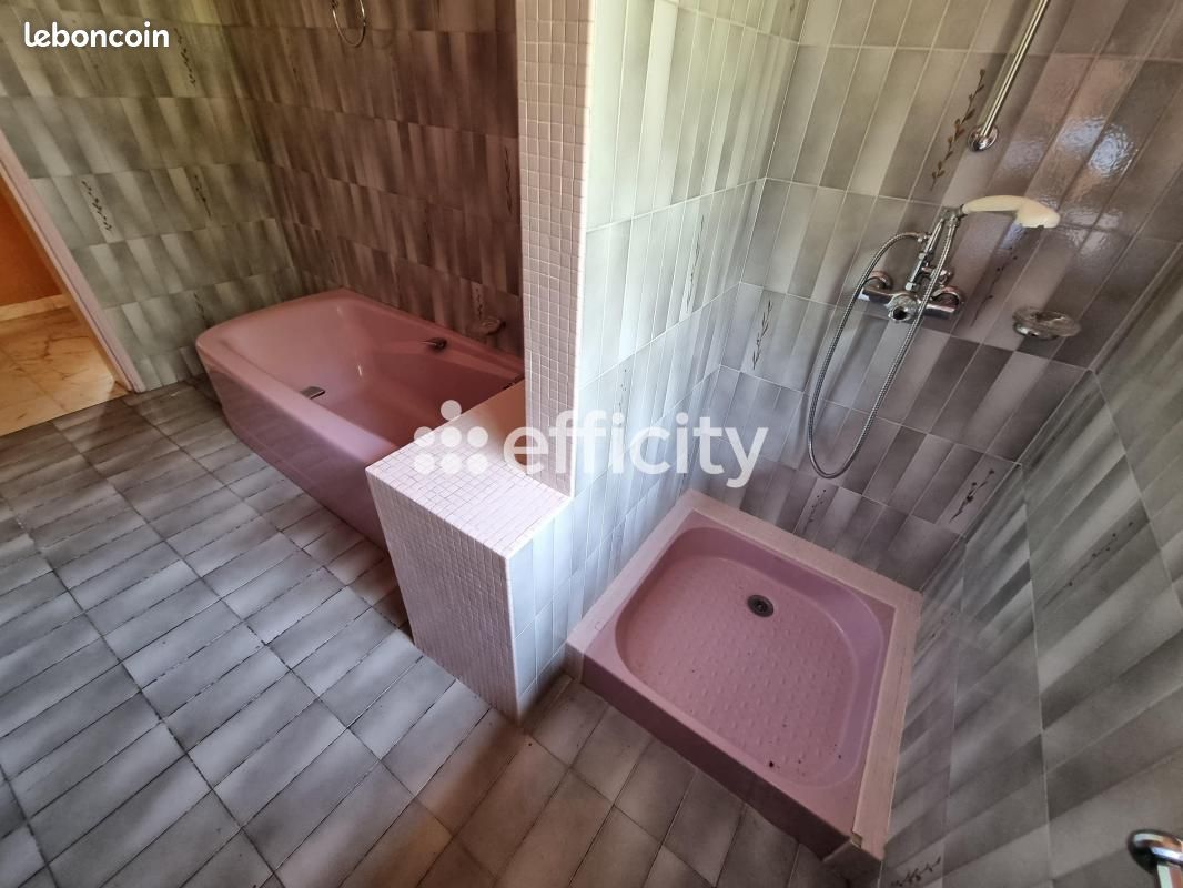 Maison 11 pièces 272 m² (image 14)