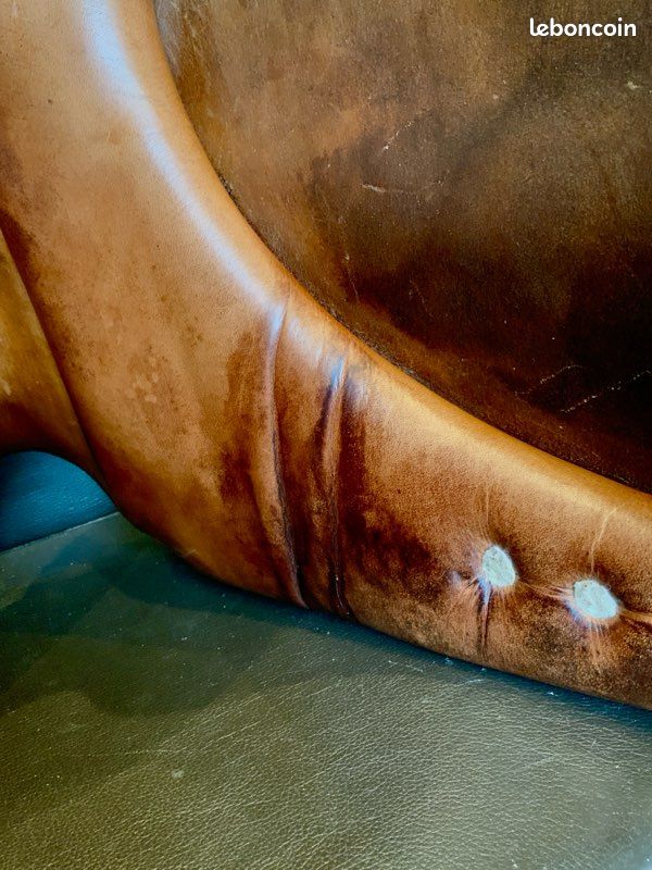 Selle de dressage Delgrange (image 10)