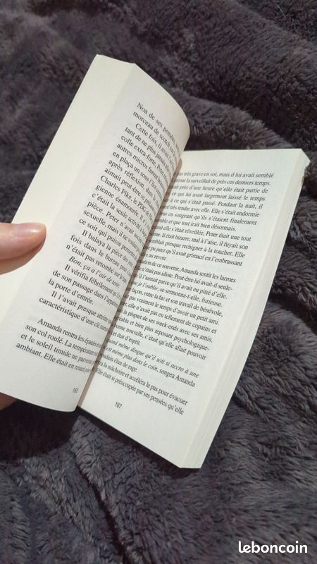 Livre Ne regarde pas, de Michelle Gagnon (image 4)