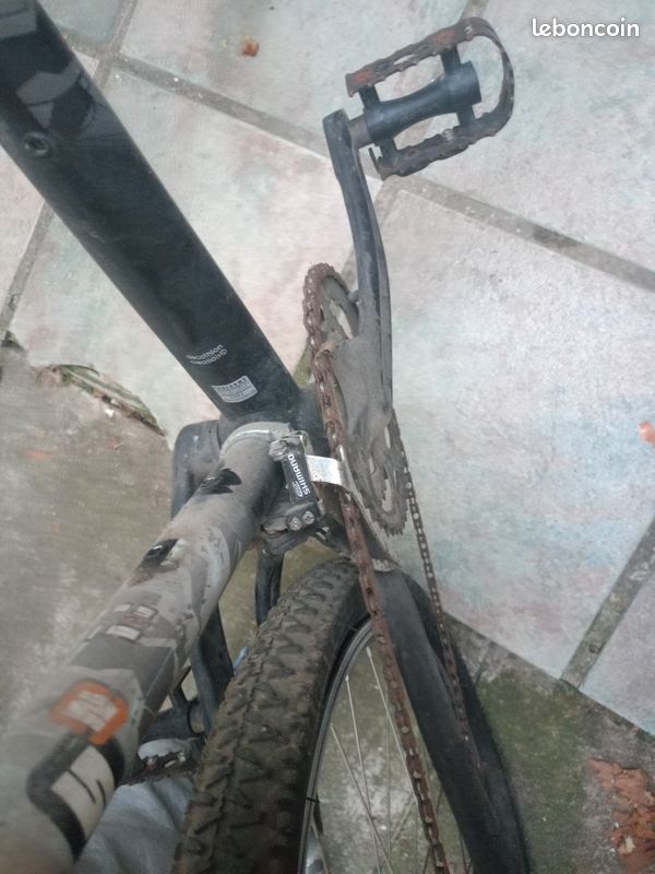 Vélo Normal (image 4)