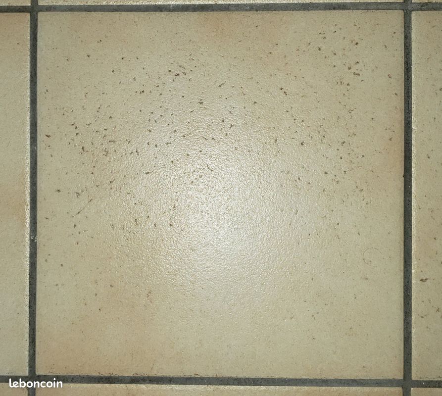 Carrelage 30x30 beige (image 1)