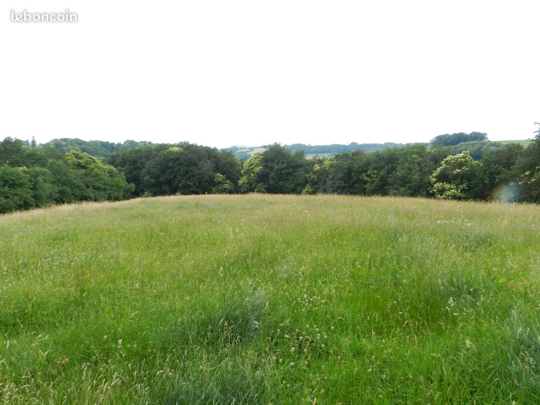 Location prairies · à Montredon-Labessonnié · 320 €/mois