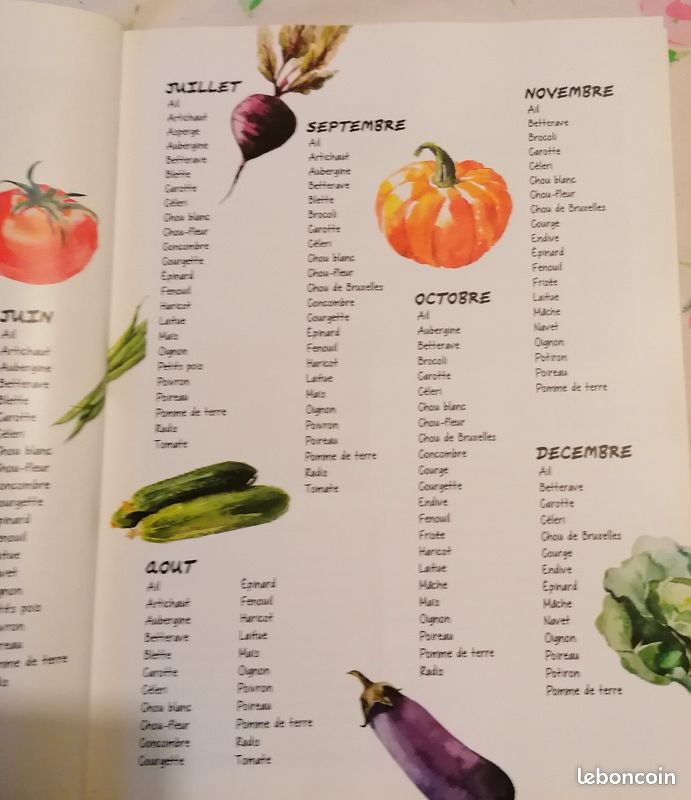 Livre cuisine (image 4)