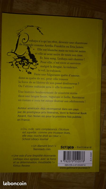 La vie blues de han nolan (image 2)