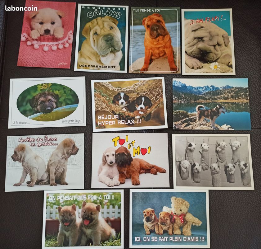 Lot de 12 cartes postales de chiens (image 1)