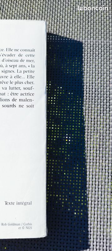 Le cri de la mouette (image 5)