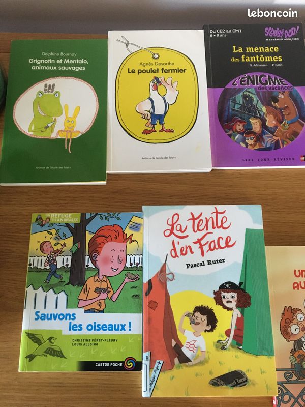 Romans Livres niveau CM1 (image 6)