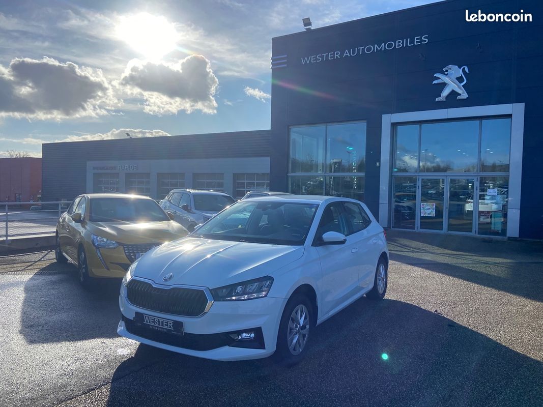 Skoda FABIA 1.0 TSI EVO2 95CH CONFORT (image 1)