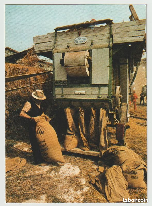 Scènes agricoles / BATTAGE, DEPIQUAGE de la moisson, fléau, batteuse : lot de 16 cartes postales différentes (image 2)