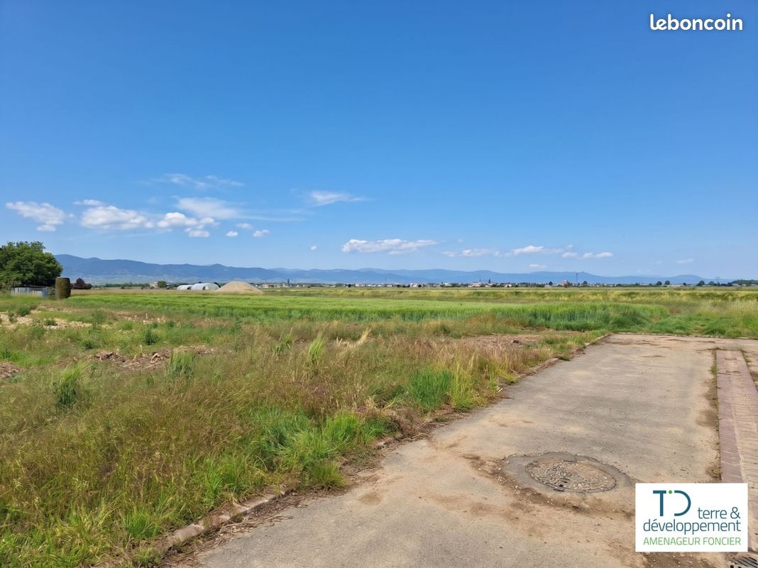 Terrain de 286 m² à NIEDERHERGHEIM (HAUT-RHIN) · 75 934 €