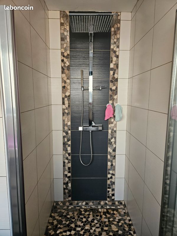 Jolie maison proche oloron (image 9)