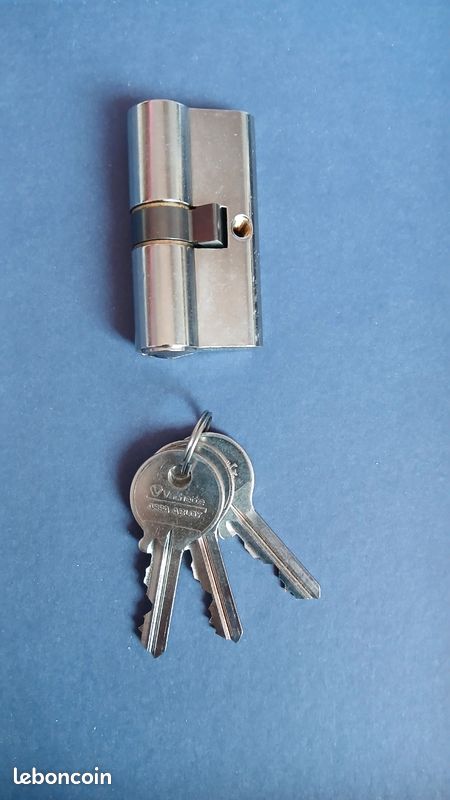 Cylindre de porte 30x30 Vachette ASSA ABLOY (image 1)