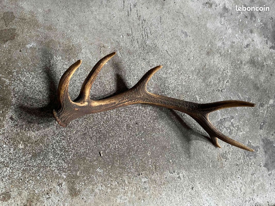 HALCYON DAYS Ornement cerf en bois de cerf - Wayfair Canada