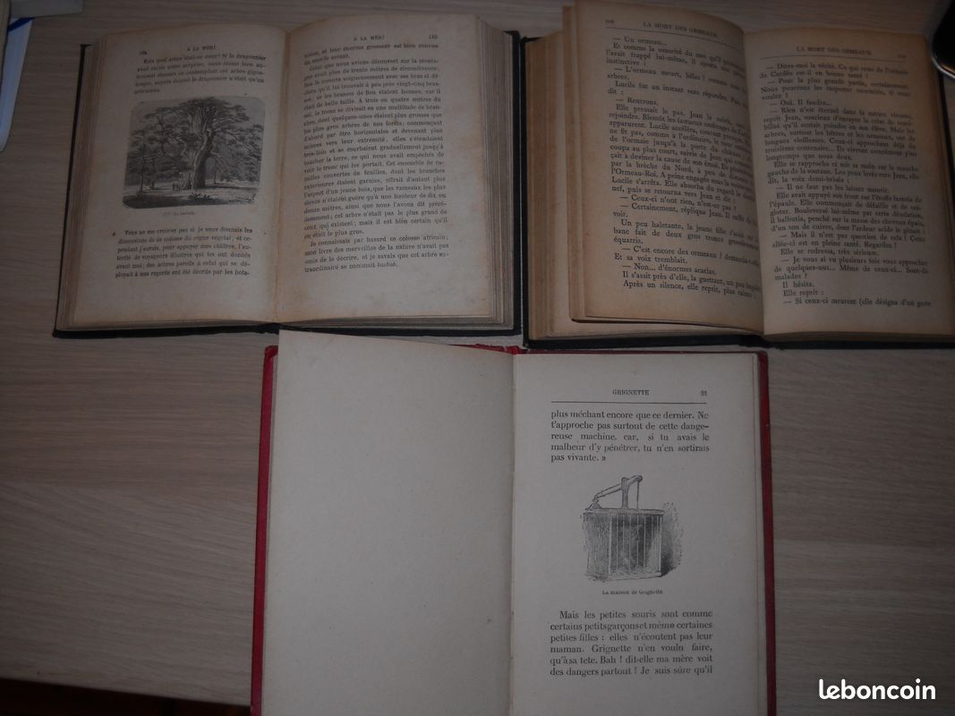 Lot livres anciens (image 2)