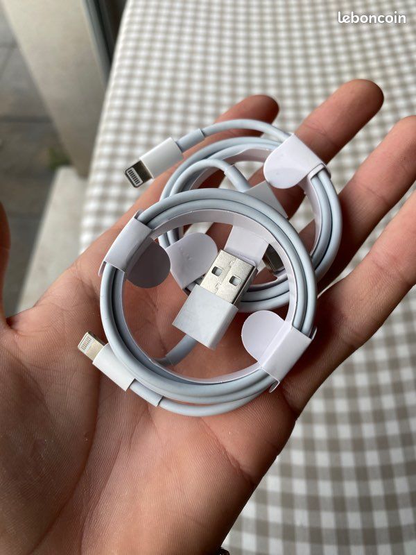 Câble Apple (image 2)