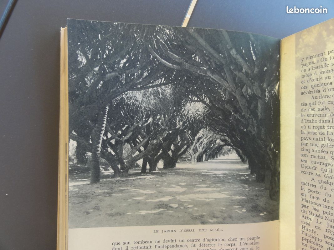ALGERIE / Esquer / ARTHAUD (image 7)