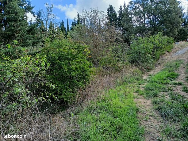 Terrain 2990 m² Magrie